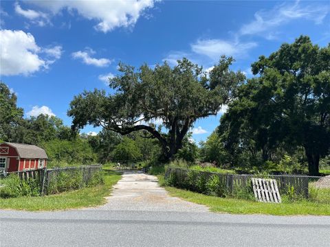 Tiny photo for 411 Alibrandi Road, Leesburg, FL 34748 (MLS # G5098737)