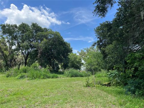 Tiny photo for 411 Alibrandi Road, Leesburg, FL 34748 (MLS # G5098737)