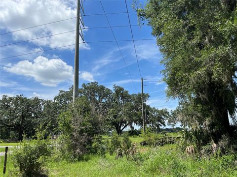 Tiny photo for 411 Alibrandi Road, Leesburg, FL 34748 (MLS # G5098737)