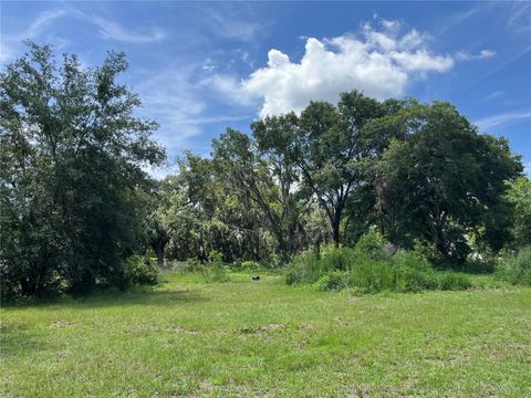 Tiny photo for 411 Alibrandi Road, Leesburg, FL 34748 (MLS # G5098737)