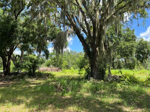 Tiny photo for 411 Alibrandi Road, Leesburg, FL 34748 (MLS # G5098737)