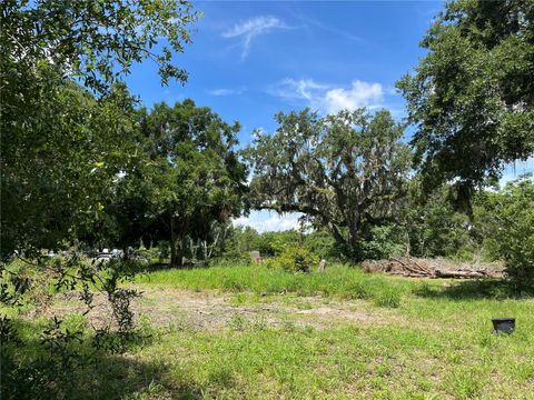 Tiny photo for 411 Alibrandi Road, Leesburg, FL 34748 (MLS # G5098737)