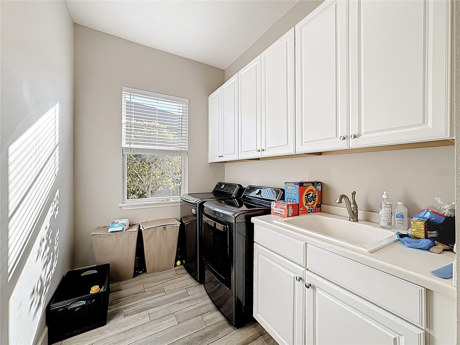 ARBOR LAKES ON PALMER RANCH - Residential