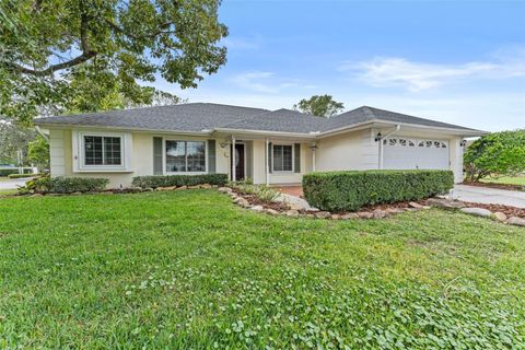 15102 SPRINGVIEW STREET TAMPA FL 33624