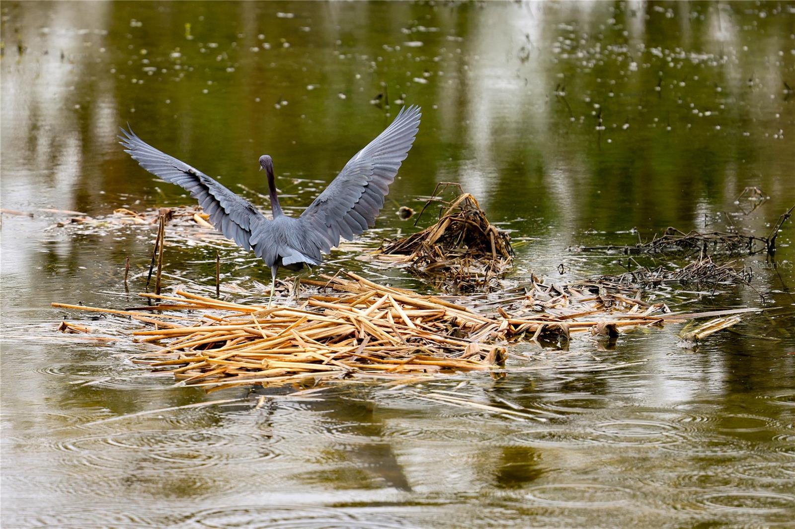 VILLAGES/SOUTHERN OAKS UN #125 - Residential