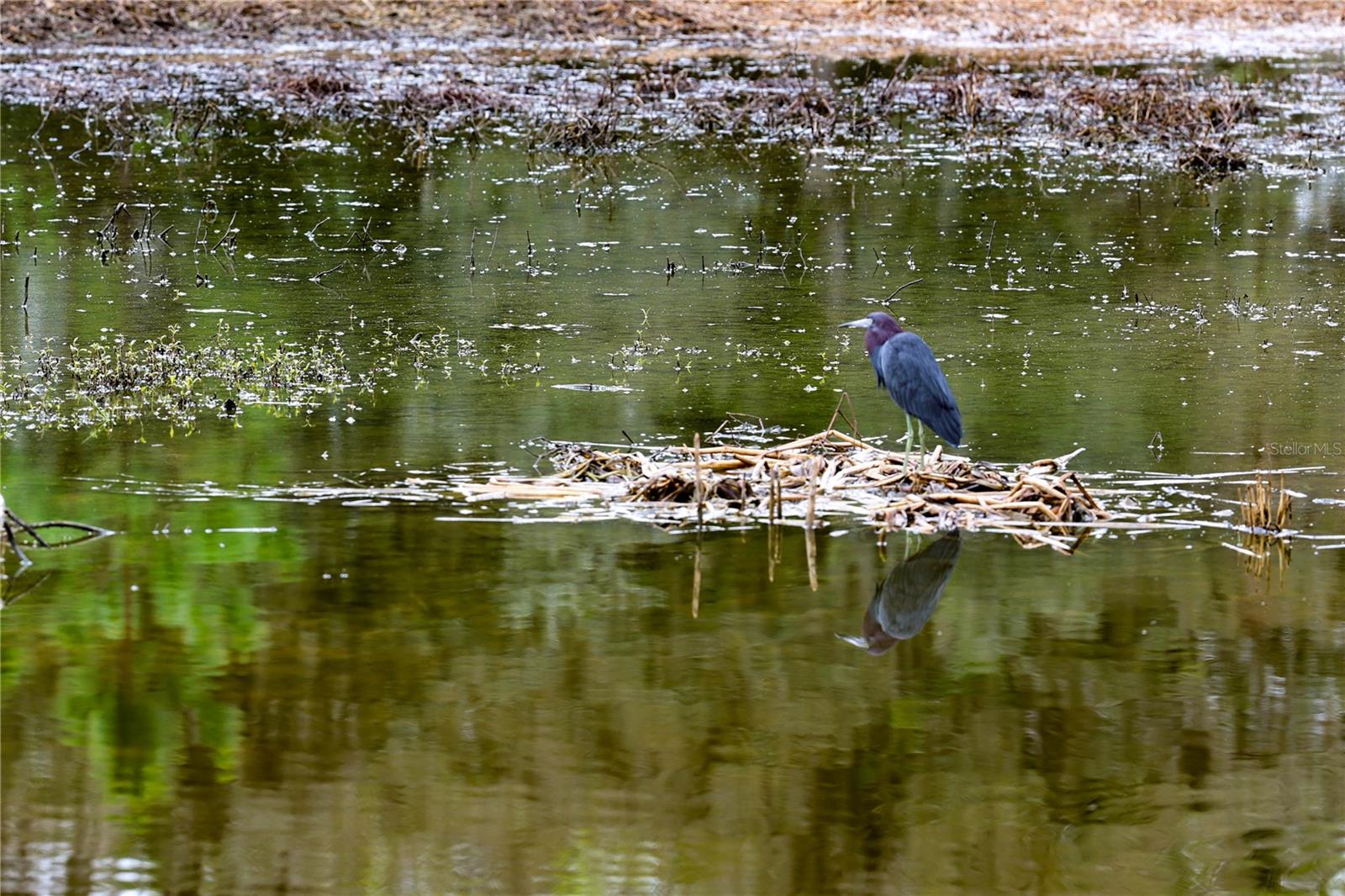 VILLAGES/SOUTHERN OAKS UN #125 - Residential