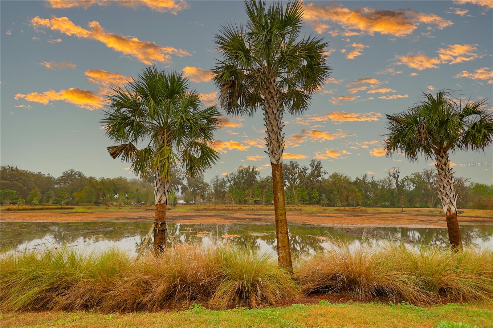 VILLAGES/SOUTHERN OAKS UN #125 - Residential