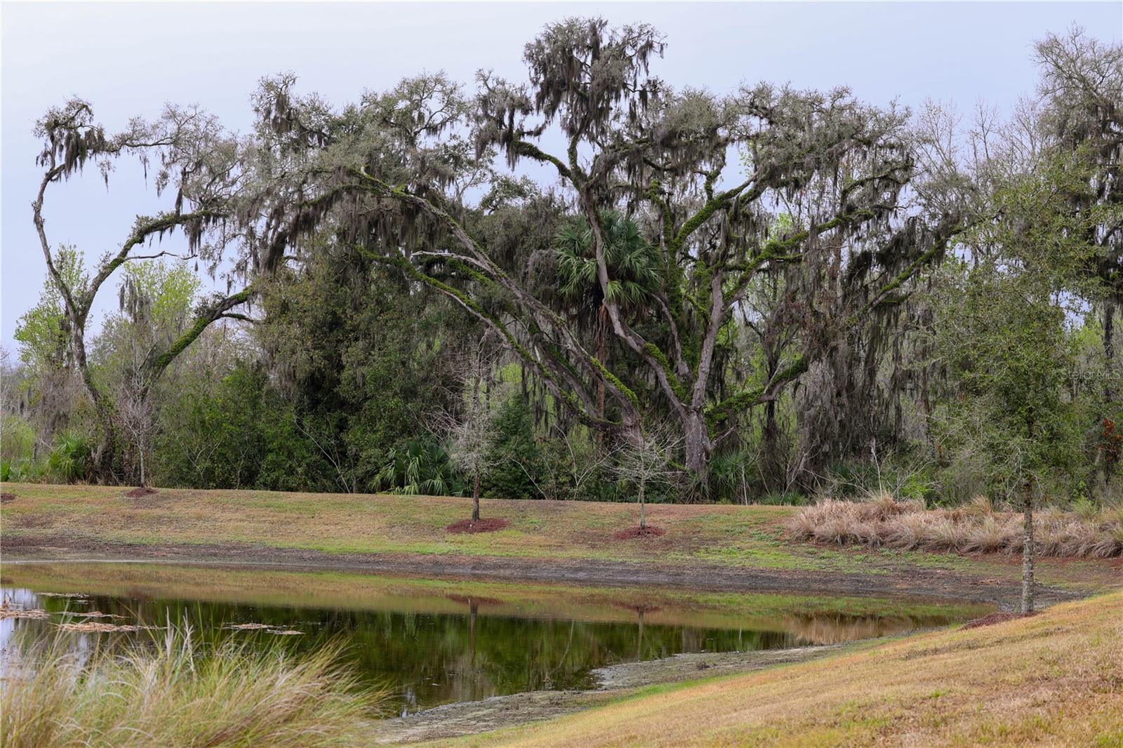 VILLAGES/SOUTHERN OAKS UN #125 - Residential