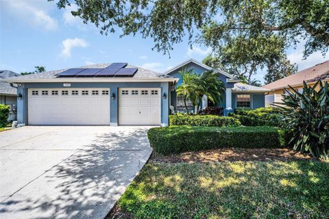 Photo of 1149 Sawgrass Drive, Tarpon Springs, FL 34689 (MLS # TB8503727)
