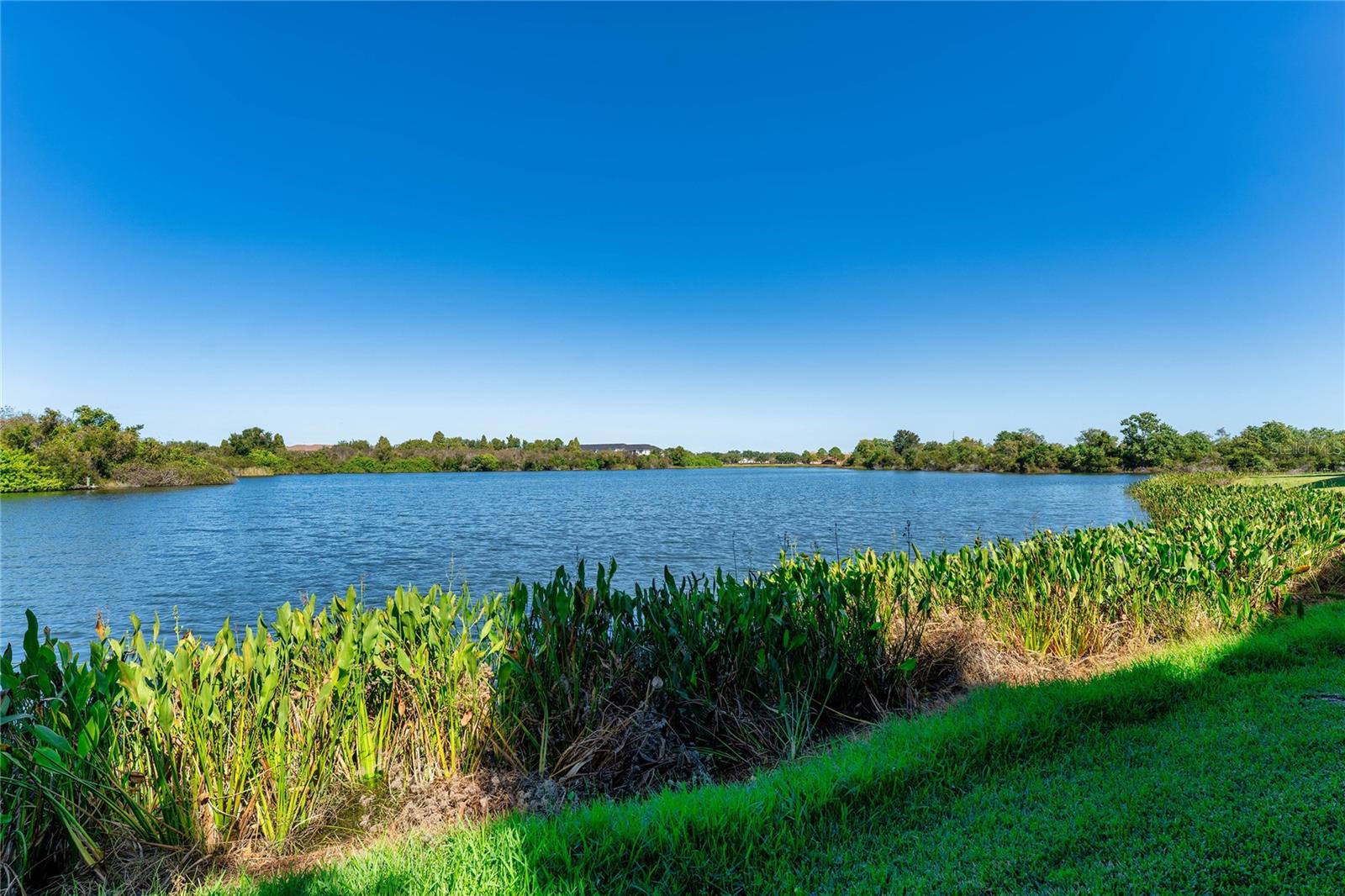 LAKE BRANDON PRCL 113 - Residential