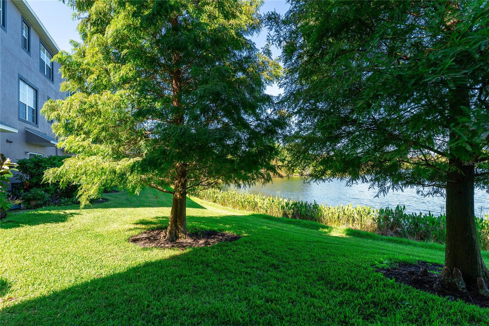 LAKE BRANDON PRCL 113 - Residential