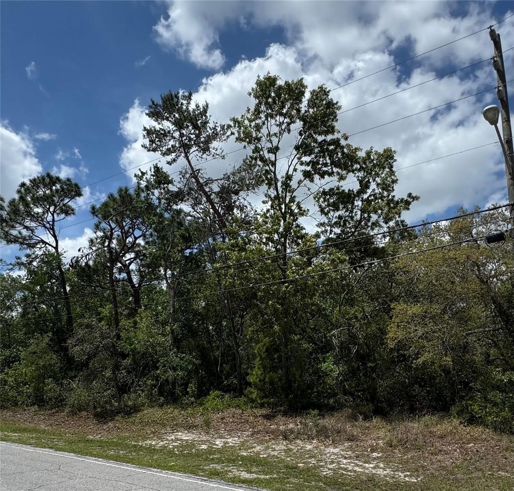 Photo of 2185 Waterfall Drive, Spring Hill, FL 34608 (MLS # TB8370684)