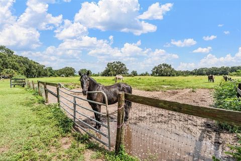 Tiny photo for 37800 Illinois Street, Lady Lake, FL 32159 (MLS # TB8414280)