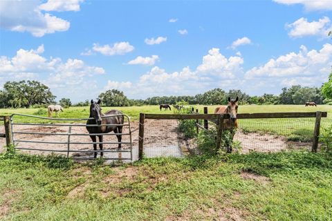 Tiny photo for 37800 Illinois Street, Lady Lake, FL 32159 (MLS # TB8414280)