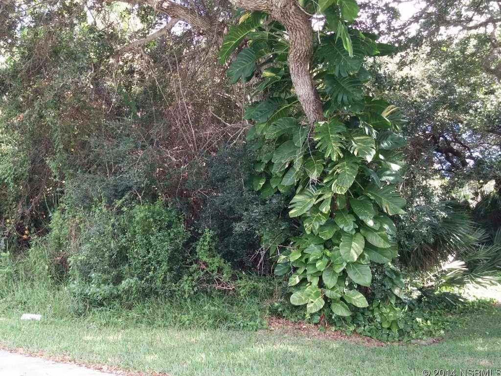 Bethune Volusia Beach - Land
