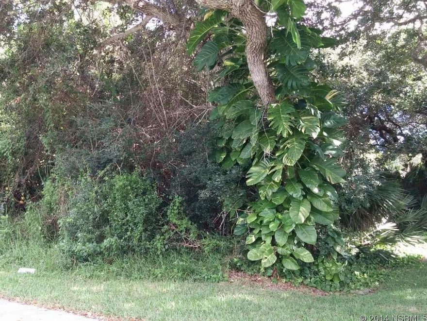 Large double lot 75x100. Enjoy beautiful sunsets in Bethune Beach.; Cleared: No ;Water: Available at Site