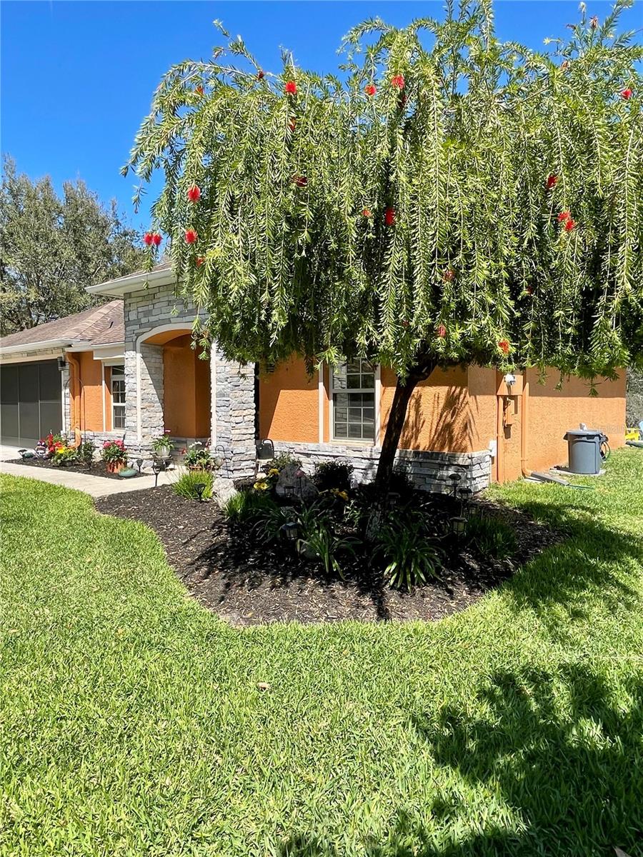 SUMMER TREES SOUTH PH 01 - Residential