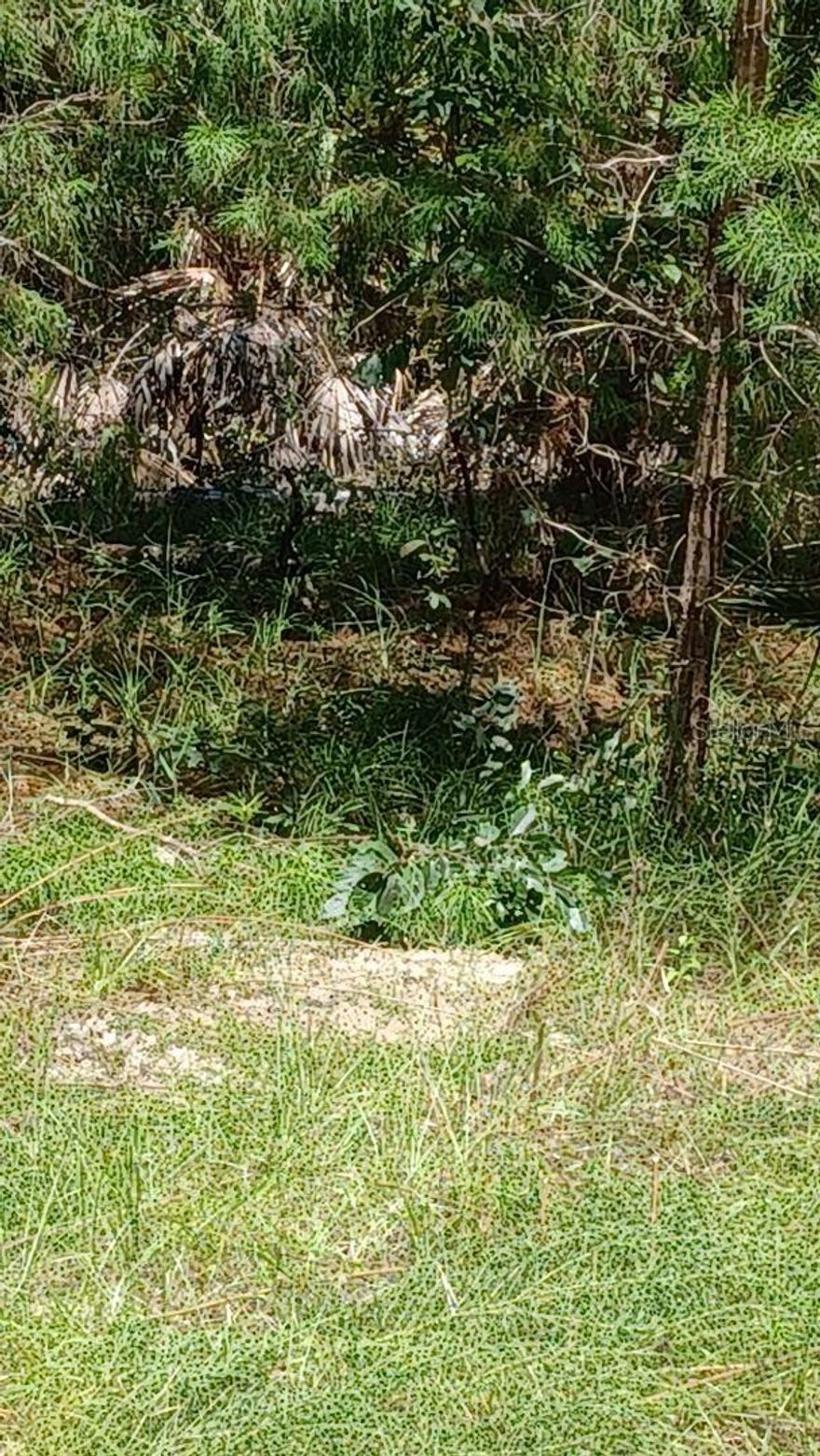 This wooded lot is in close proximity to George's Lake in the Lakeside Hills community. There is a public boat ramp for easy access to the 820 acre lake. Short drive to Gainesville and Palatka where you'll find an abundance of restaurants, shopping and other local attractions and Etoniah Creek State Forest. Sign on the property, go show.; Cleared: No