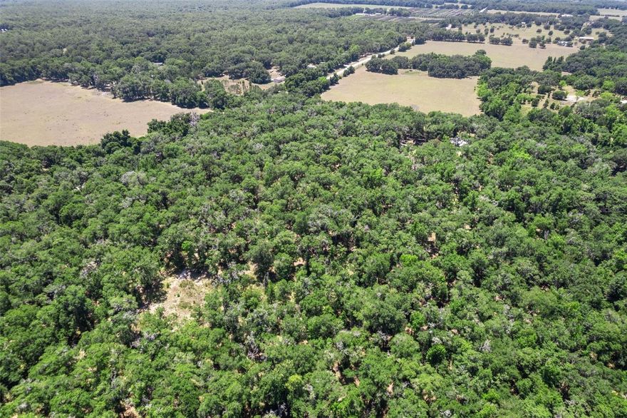 Escape to your own private retreat with this beautiful 10-acre wooded parcel in Citrus County, Florida. Nestled in a peaceful, natural setting, this expansive property offers the perfect opportunity to build your dream home, set up a weekend getaway, or invest in land with endless potential. Surrounded by mature trees and native Florida vegetation, the property provides both seclusion and serenity, while still being conveniently located just minutes from shopping, dining, and outdoor recreation.

Enjoy easy access to nearby springs, rivers, and the Gulf, making this a haven for nature lovers, boaters, and outdoor enthusiasts. Whether you're looking to create a homestead, develop a country estate, or simply hold onto a piece of Florida's natural beauty, this parcel offers the space and flexibility to bring your vision to life. No HOA and no deed restrictions—just pure, unspoiled land waiting for your imagination.