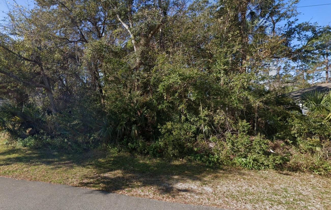 91 PALMWOOD DRIVE