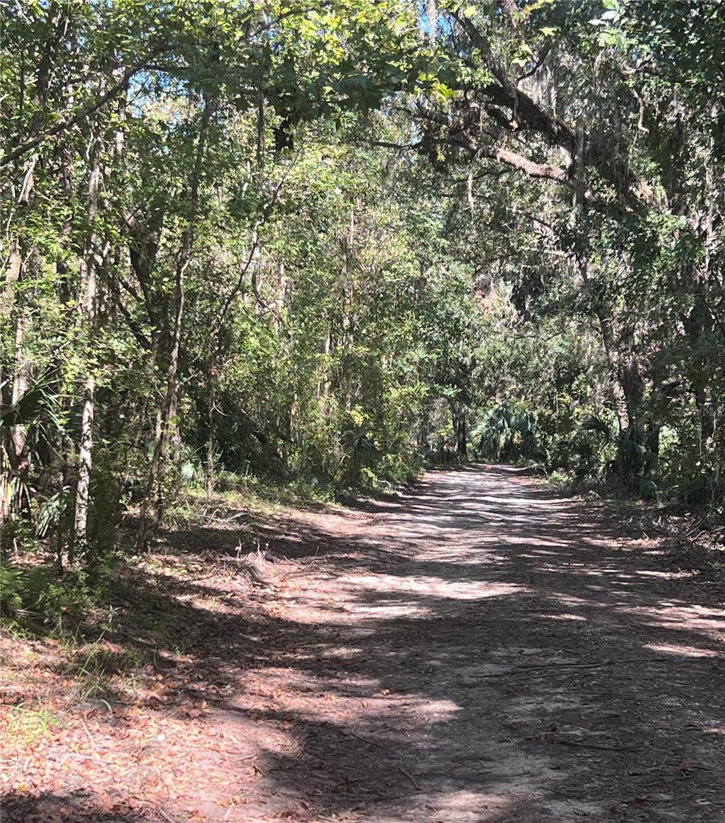 Discover the limitless possibilities awaiting you at this expansive vacant lot, a blank canvas nestled in the charming town of Brooksville, FL. This property, ripe for customization, offers an exciting opportunity for those eager to fashion their dream space from the ground up. Envision constructing your personalized oasis, with ample outdoor space to design a sumptuous garden, a play area, or even a chic al fresco dining spot. Whether you're a budding landscaper or an outdoor enthusiast, the generous lot allows for a plethora of creative designs that can cater to any preference or lifestyle. The neighborhood exudes a welcoming vibe that combines the serene tranquility of a small town with close proximity to essential amenities and attractions. Within a short distance, indulge in local charm at the nearby Ernie Wever Youth Park, ideal for weekend picnics or morning jogs. For your convenience, shopping needs can be addressed just a few minutes away at Family Dollar located in Hernando Plaza. Families will appreciate being close to 1 Team Christian Academy, ensuring access to quality education. For those who commute, the nearby Yontz Rd bus station provides easy access to broader areas, making this an ideal spot for anyone working in or around the bustling city areas. This property is not just a plot of land, but a portal to endless potential, where your dream home can take root and flourish. It's a special slice of Brooksville, waiting for someone with vision and zest to transform it into a cherished personal haven. Embrace the opportunity to create your perfect abode in this delightful community