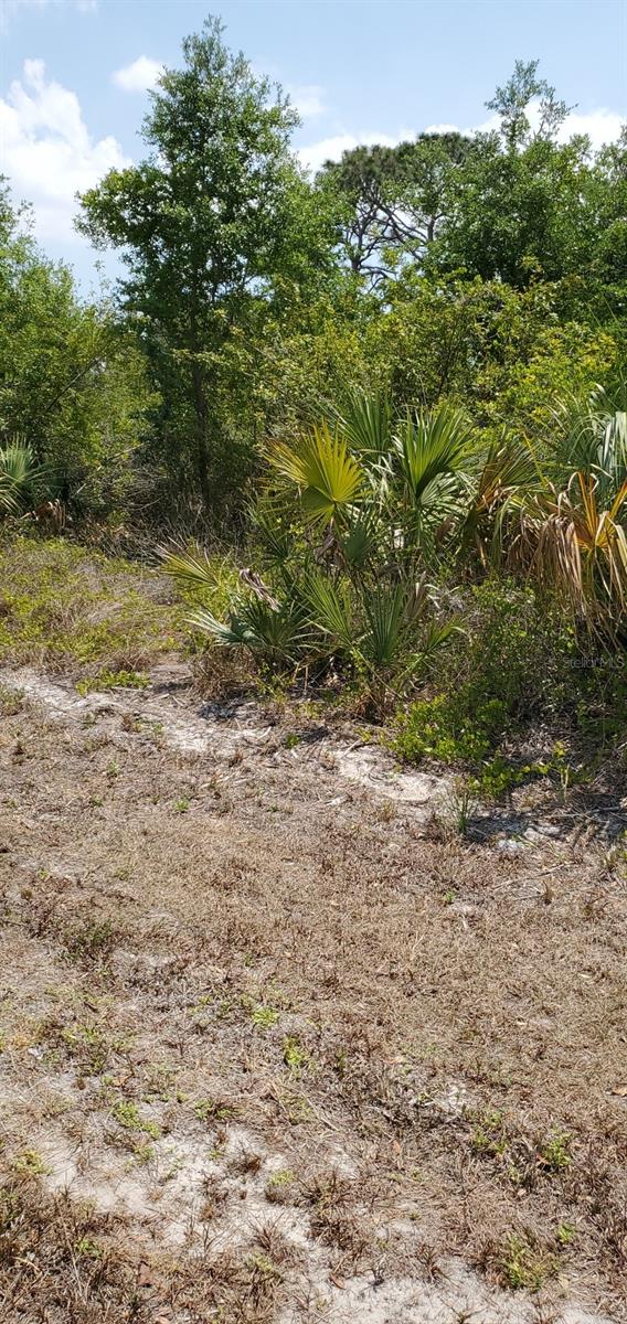 PORT CHARLOTTE SEC 072 - Land