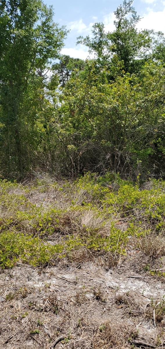 PORT CHARLOTTE SEC 072 - Land