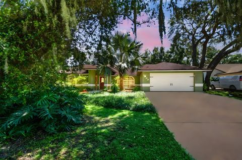 Photo of 1509 Little Johns Trail, Lakeland, FL 33809 (MLS # TB8422399)