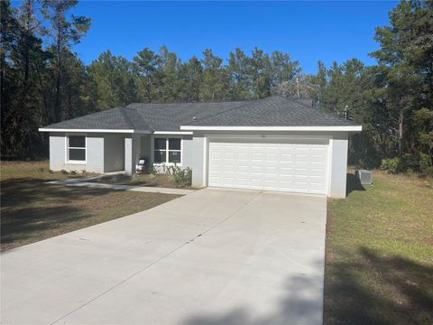 A home in OCKLAWAHA