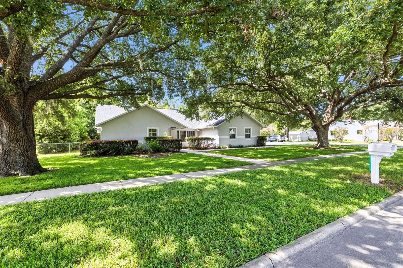 DREAMING of living on 5th Ave in charming Zephyrhills, Florida!? This home is thoughtfully designed, offering space, comfort, and flexibility to meet your modern lifestyle. With nearly 2,200 square feet of living space, this 3-bedroom, 2.5-bathroom residence is filled with custom features and upgrades that make it truly stand out. As you arrive, you're greeted by a classic covered front porch. Step inside to discover a bright, open layout with an abundance of natural light, and a seamless flow between the living room and cozy family room. The kitchen, in the heart of the home, comes fully equipped with BRAND-NEW stainless-steel appliances and offers plenty of cabinets, counter space, and a nice sized pantry. This home includes a dedicated office space, perfectly suited for remote work or a home-based business. Adding even more convenience, the office features its own private half bathroom- a rare and practical feature you’ll truly appreciate. The oversized attached two-car garage provides plenty of space for vehicles, storage, or a workshop. Out back, a large screened-in porch offers a peaceful setting for entertaining or relaxing while overlooking the fully fenced backyard. Inside, all three spacious bedrooms have generous closet space, with additional storage thoughtfully integrated throughout the home. A built-in central vacuum system makes daily upkeep easier than ever. You’ll also find two full bathrooms that are well arranged for both style and comfort. The laundry area includes a washer and dryer, washing tub, tons of storage cabinets, even a built-in folding ironing board! The concrete block construction paired with a durable stucco exterior ensures lasting value. Located in an established neighborhood with no HOA or deed restrictions, this home gives you the freedom to make it your own. It's close to shopping, dining, parks, and schools, making it a convenient and desirable place to live. Don’t miss the chance to own this well-maintained, feature-rich home in the heart of Zephyrhills. Schedule your private showing today and come see all that 38904 5th Ave has waiting for you.