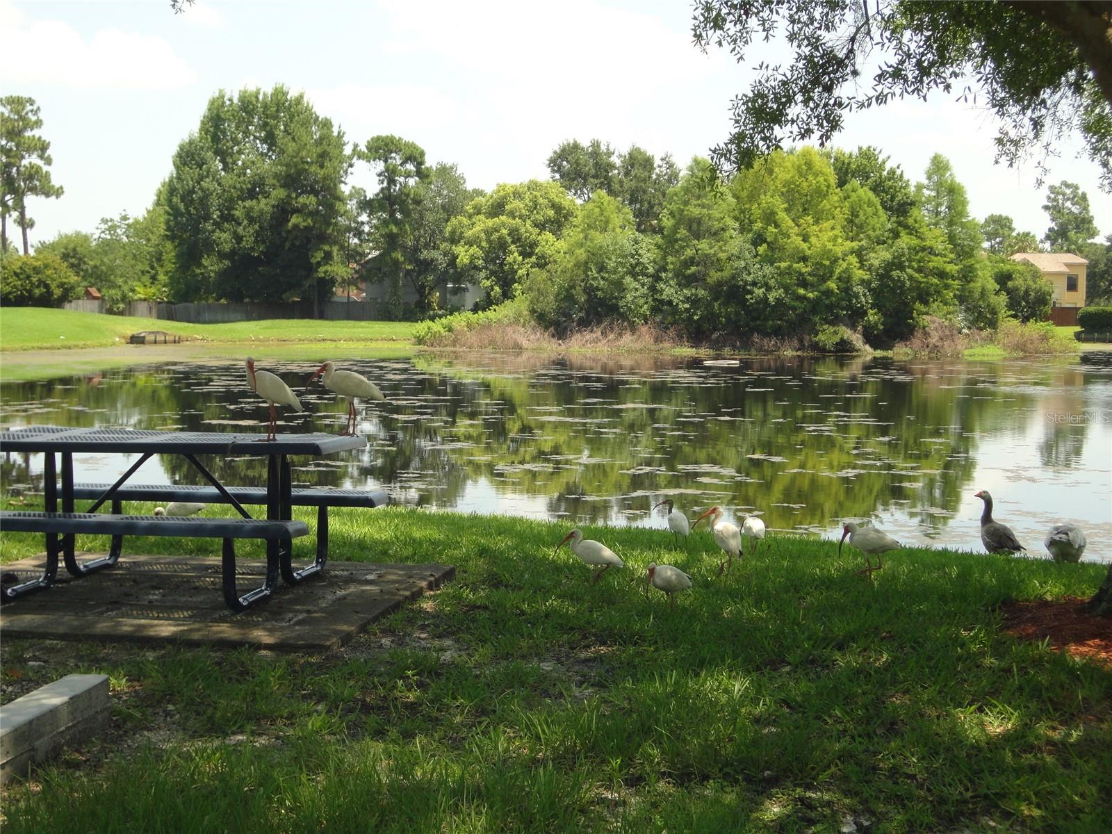 ALAFAYA WOODS PH 01 UNIT B - Residential Lease