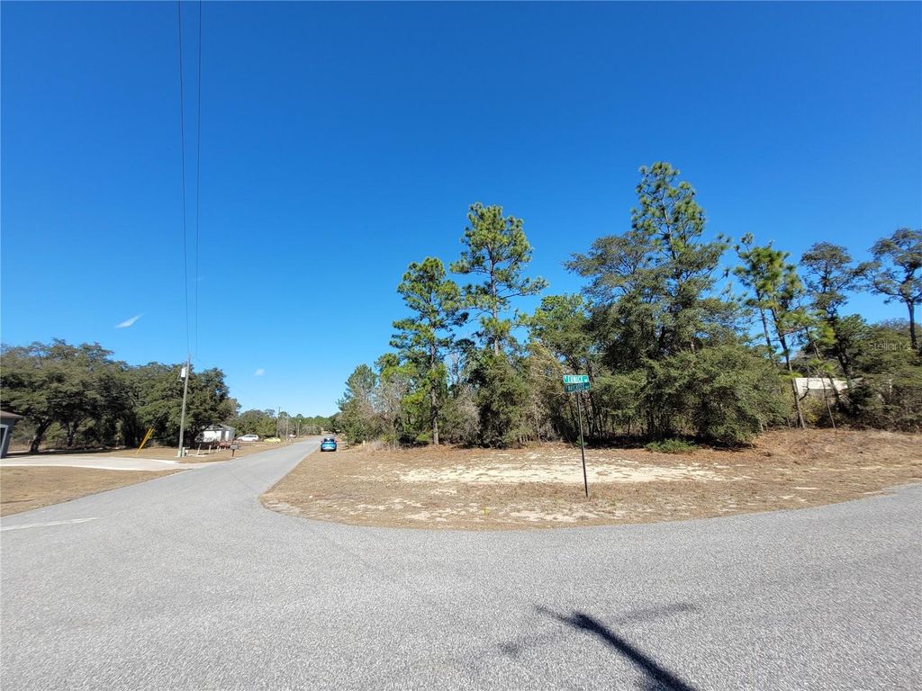 Photo of 3153 W Eunice Drive, Dunnellon, FL 34433 (MLS # OM718087)