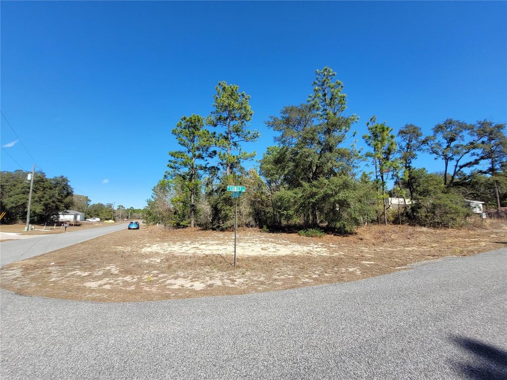 Photo of 3153 W Eunice Drive, Dunnellon, FL 34433 (MLS # OM718087)