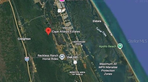 LOT #221 NO NAME OAK HILL FL 32759