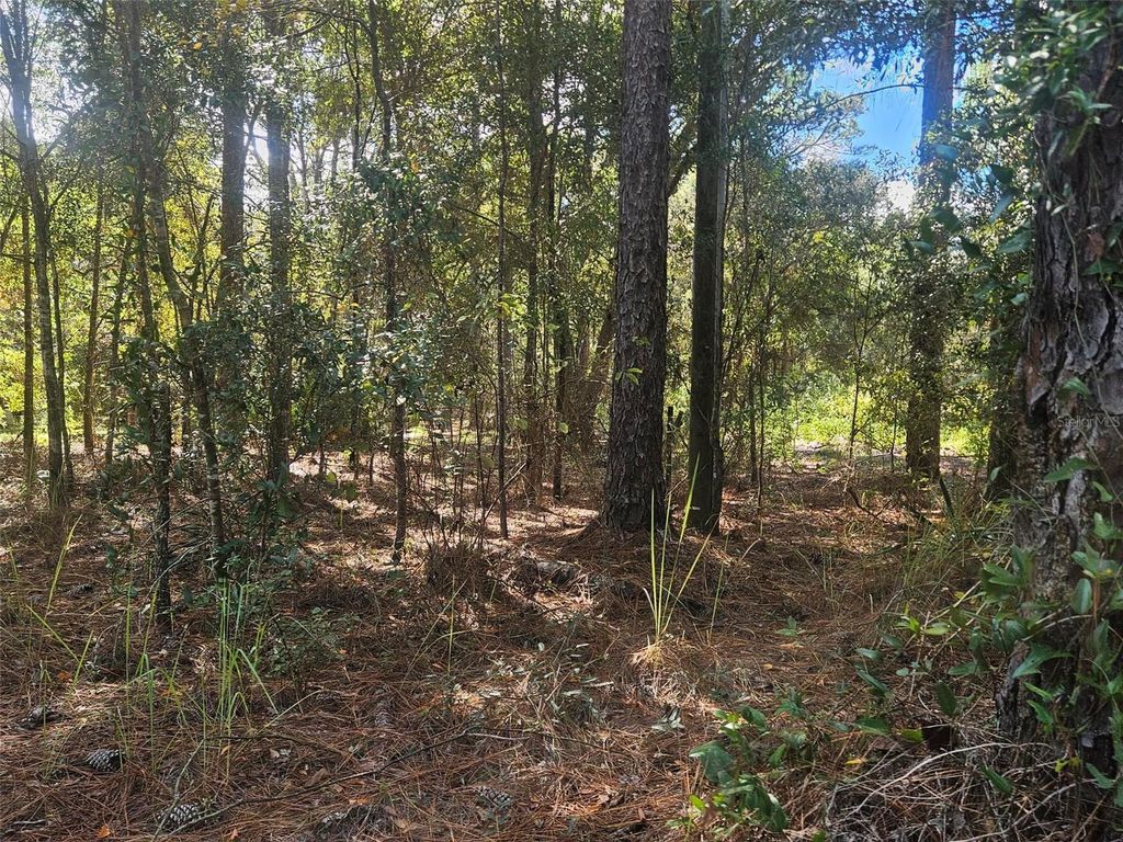 Photo of Xxxx SW 92nd Place SW, Dunnellon, FL 34432 (MLS # G5103615)