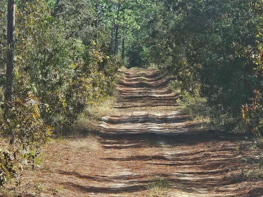 This parcel is conveniently located just minutes from both Dunnellon and Ocala, making it ideal for constructing a site-built home or placing a manufactured home, as both options are permitted within this neighborhood. The Rainbow River and the World Equestrian Center are both close by, along with options for recreation, shopping, dining, and access to medical services.