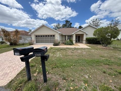 Photo of 17440 SE 112th Avenue, Summerfield, FL 34491 (MLS # S5148940)
