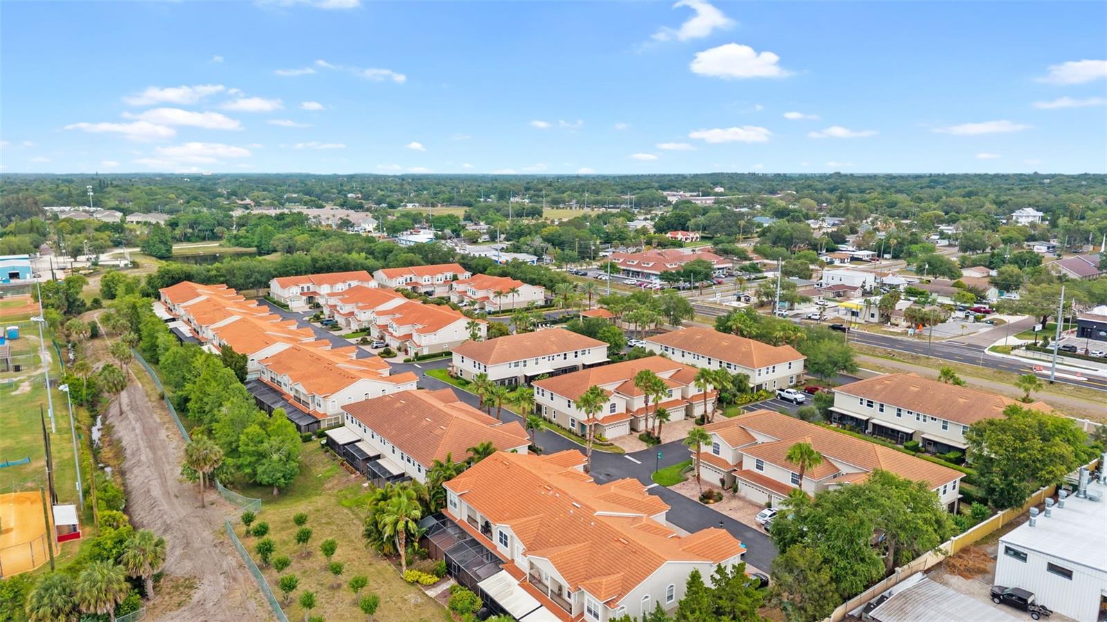 VILLAS OF SAN MARINO AT PALM HARBOR - Residential