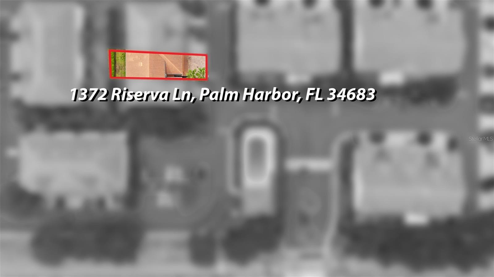 VILLAS OF SAN MARINO AT PALM HARBOR - Residential