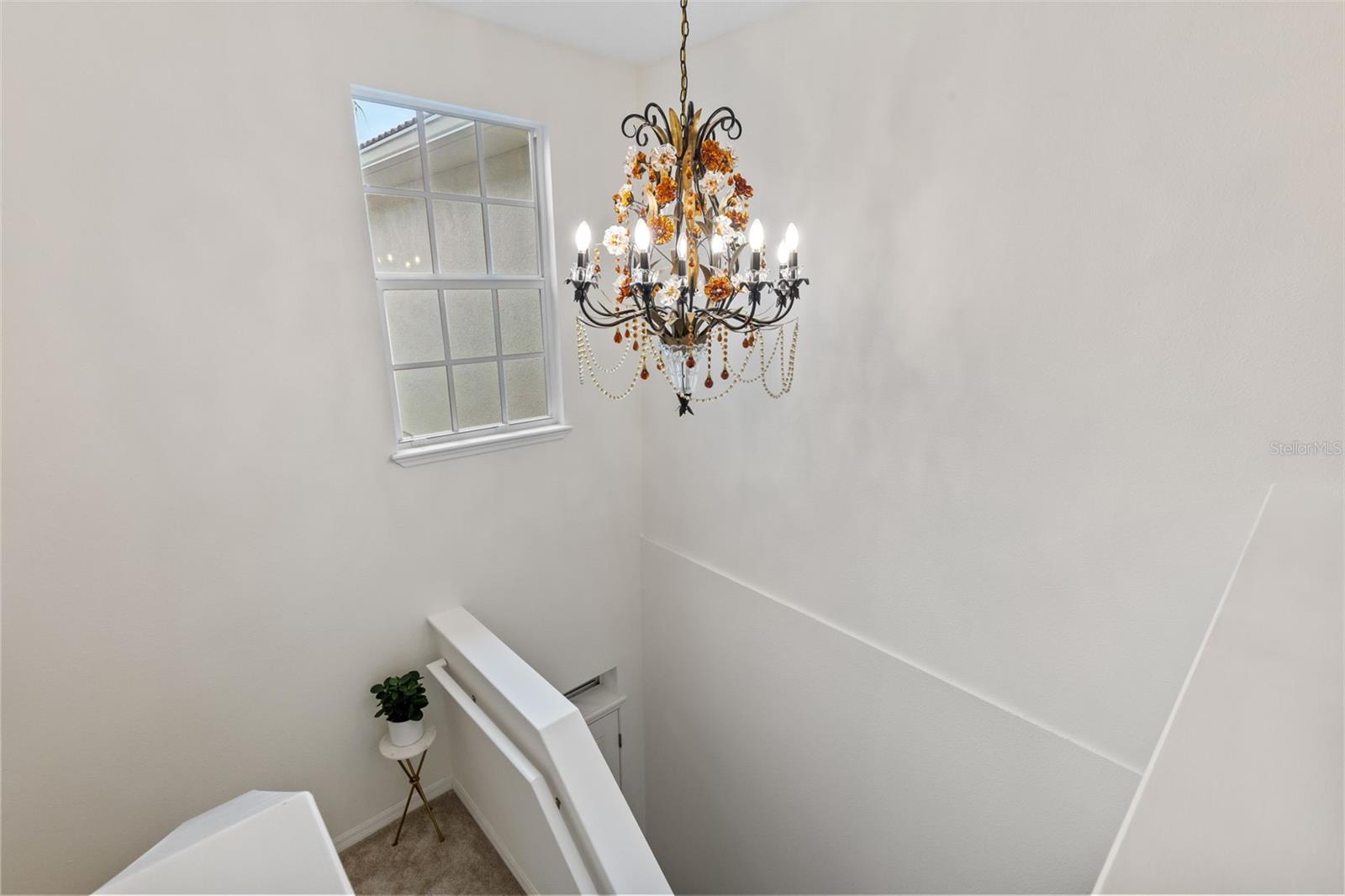 VILLAS OF SAN MARINO AT PALM HARBOR - Residential