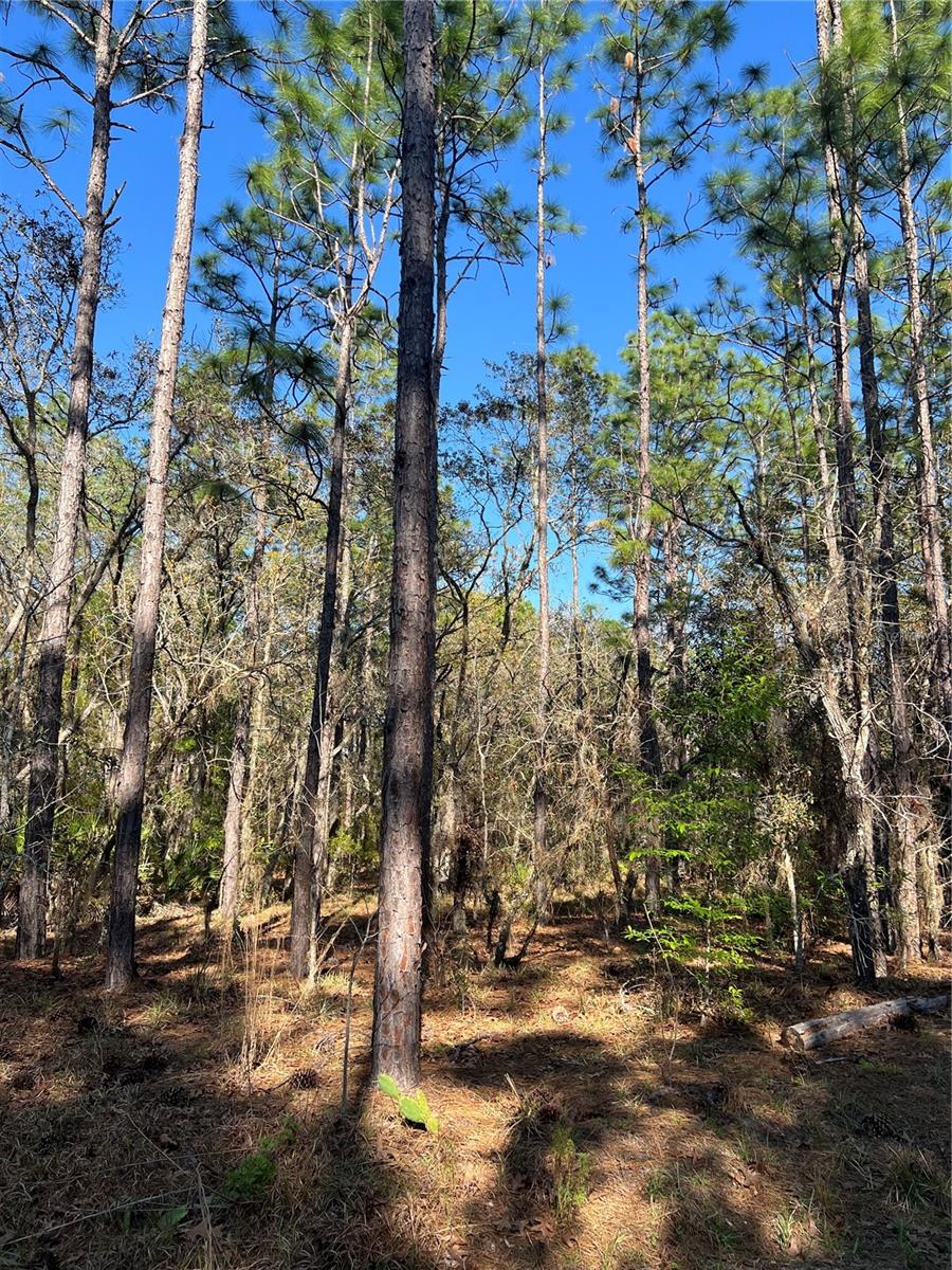 FAIRVIEW ESTATES - Land