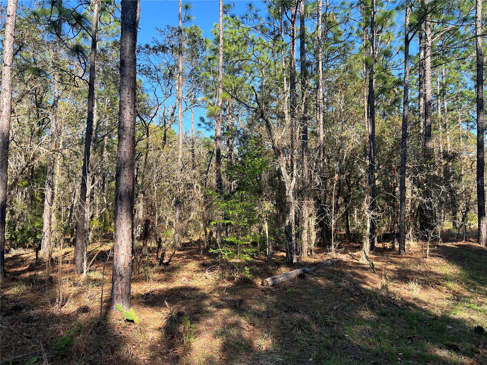 FAIRVIEW ESTATES - Land