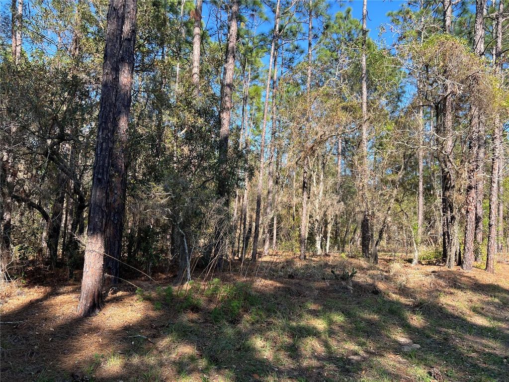Photo of 4061 N Little Dove Terrace, Hernando, FL 34442 (MLS # TB8489998)