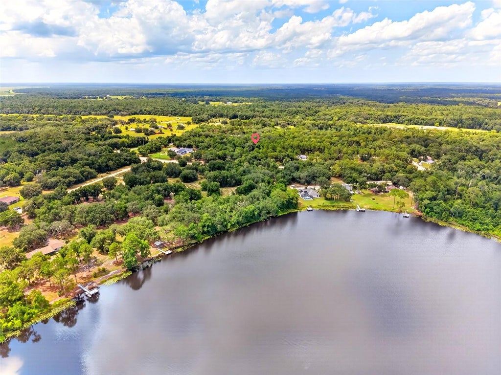 Photo of 9955 SE 160th Avenue, Ocklawaha, FL 32179 (MLS # OM728724)
