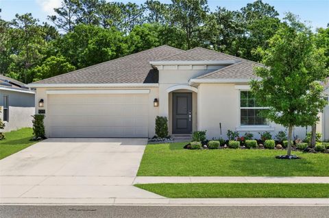 Photo of 1018 Peach Creek Drive, Osteen, FL 32764 (MLS # V4948537)