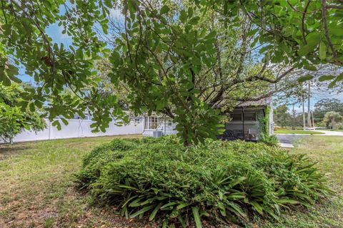 A home in TAMPA