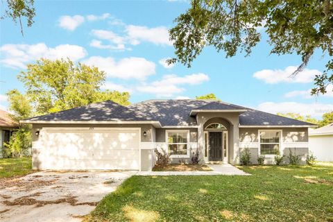 Photo of 205 Lori Court, Umatilla, FL 32784 (MLS # O6296097) Photo of 205 Lori Court, Umatilla, FL 32784 (MLS # O6296097)
