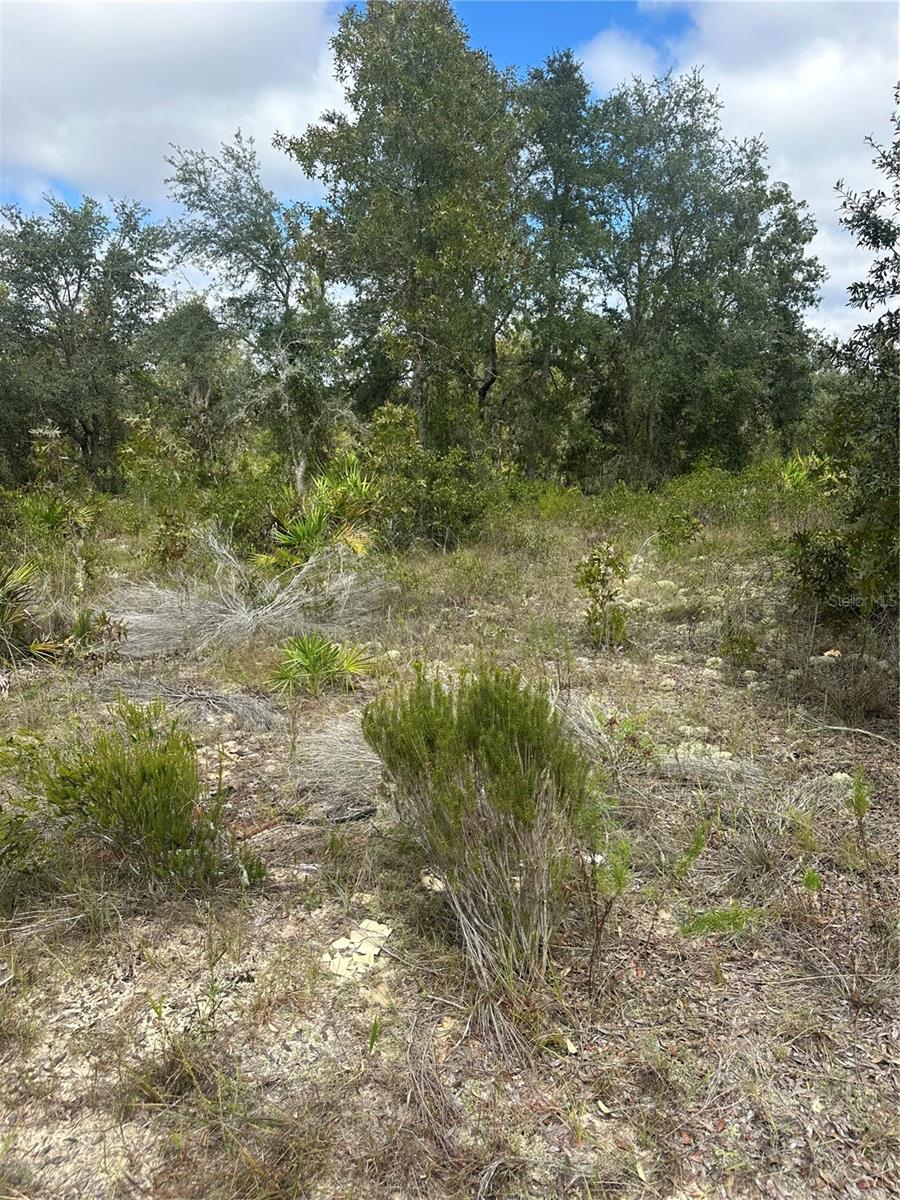 OAK RIDGE ESTATES - Land