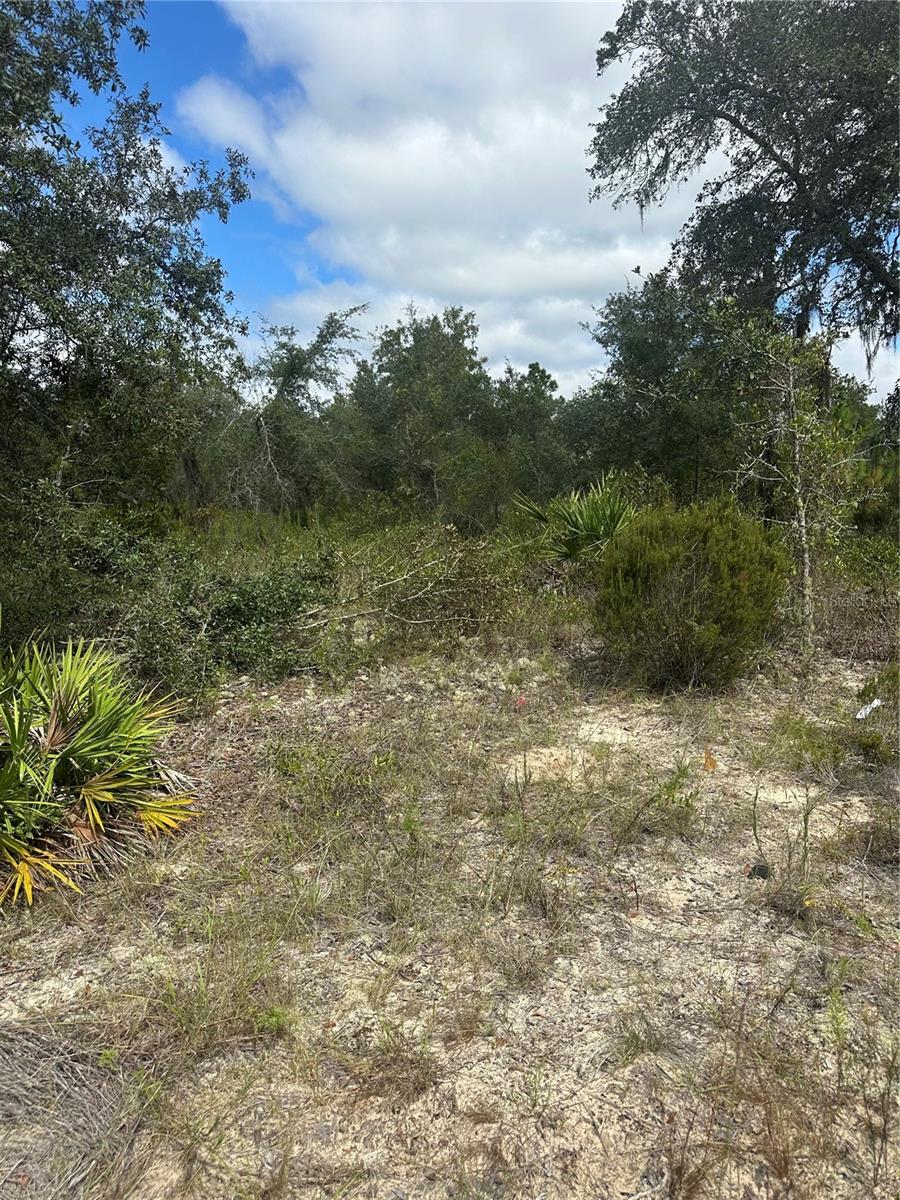 OAK RIDGE ESTATES - Land