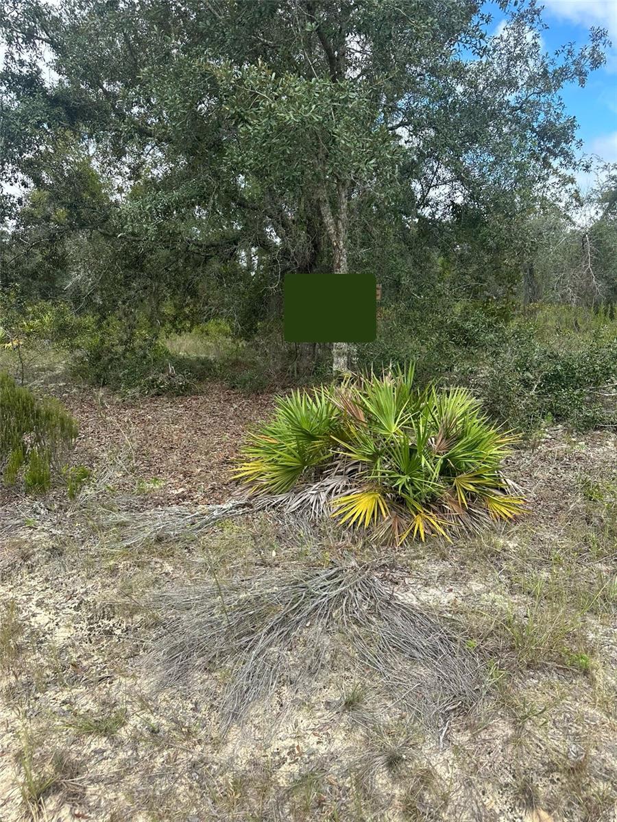 OAK RIDGE ESTATES - Land